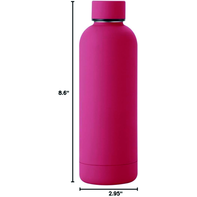 Stainless Steel Water Bottle (500 ml) thumbnail